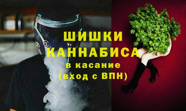 дмт Алексин